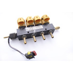 Форсунки газові Valtek Rail Type 30 для газової установки 4-го покоління.