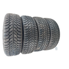 Комплект зимових шин 195.65 R15 Deb. Frigo