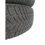 Пара всесезонних покришок 195.65 R15 Debica
