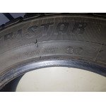 Шины 195 55 R15 Зима Tristar Ecopower