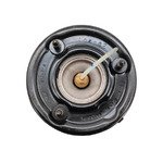 Пневматичесский аммортизатор задний c086054m4 Mercedes W220