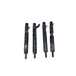 Дизельная форсунка 1.5 DCI EJBR05101D