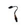 notify_thumb