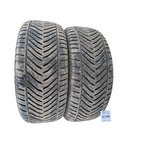 Пара всесезонных покрышек 225.45 R17 Kormoran